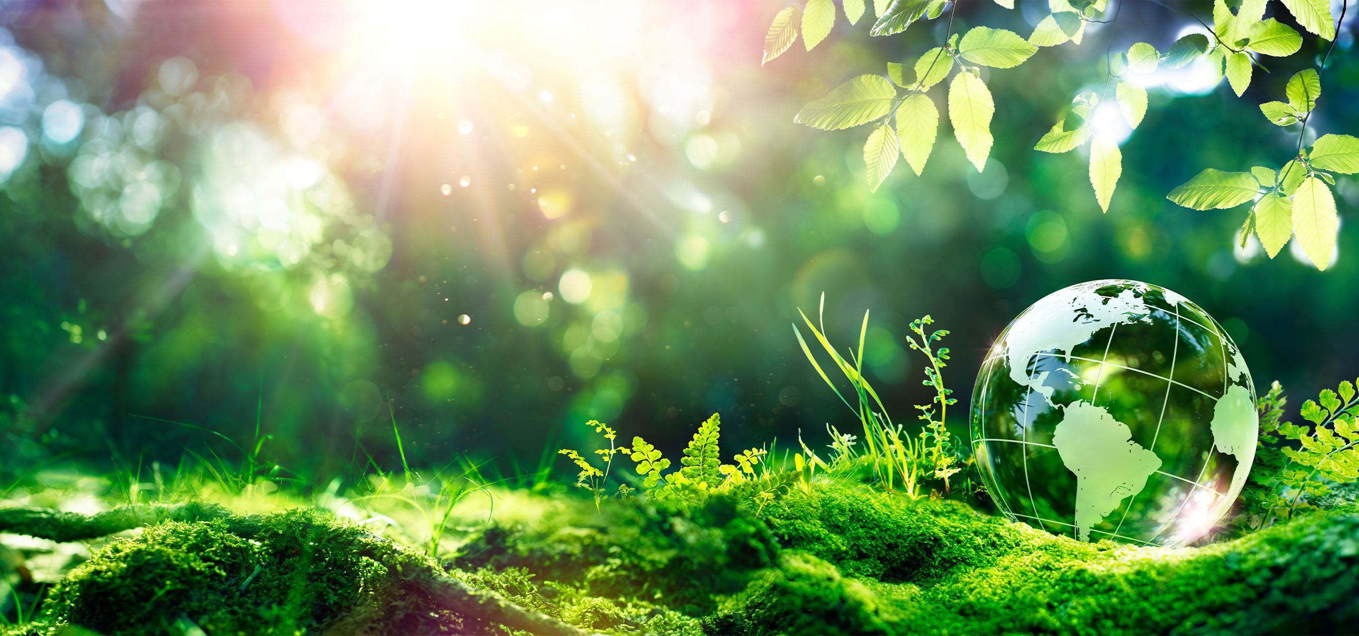 From FinOps to GreenOps: the key to a successful Green IT Strategy